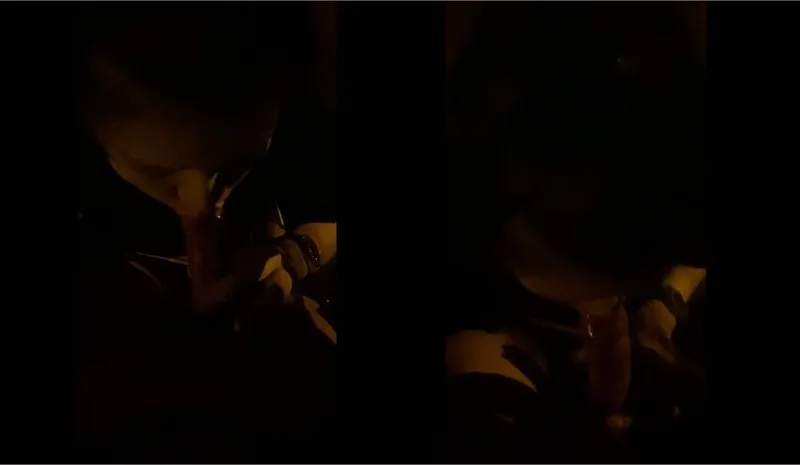 Cho gấu dâm bú buồi trong công viên